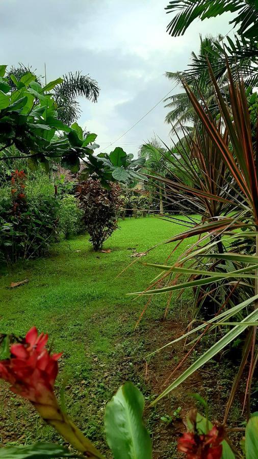 Travis Post Homestay Siquijor Exteriér fotografie