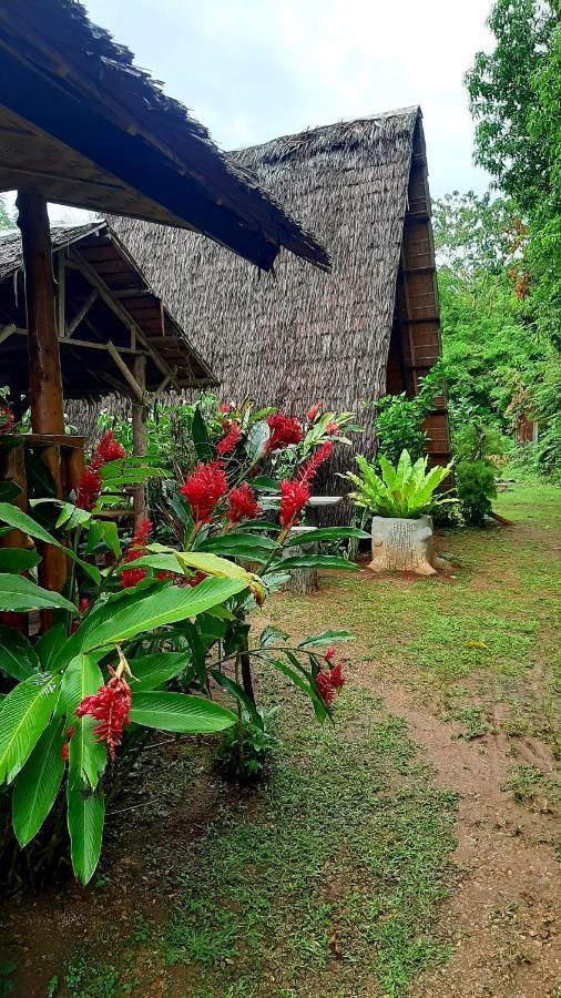 Travis Post Homestay Siquijor Exteriér fotografie