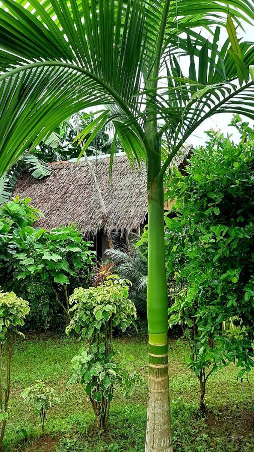 Travis Post Homestay Siquijor Exteriér fotografie
